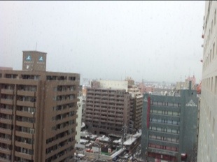 20130211-114622.jpg