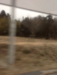 20130302-201054.jpg