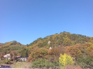 20131106-220134.jpg