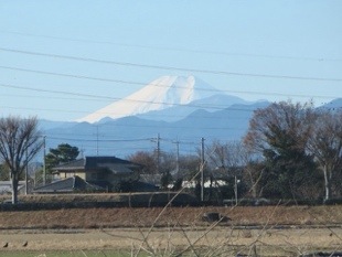20140120-101822.jpg