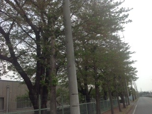 20140420-002650.jpg